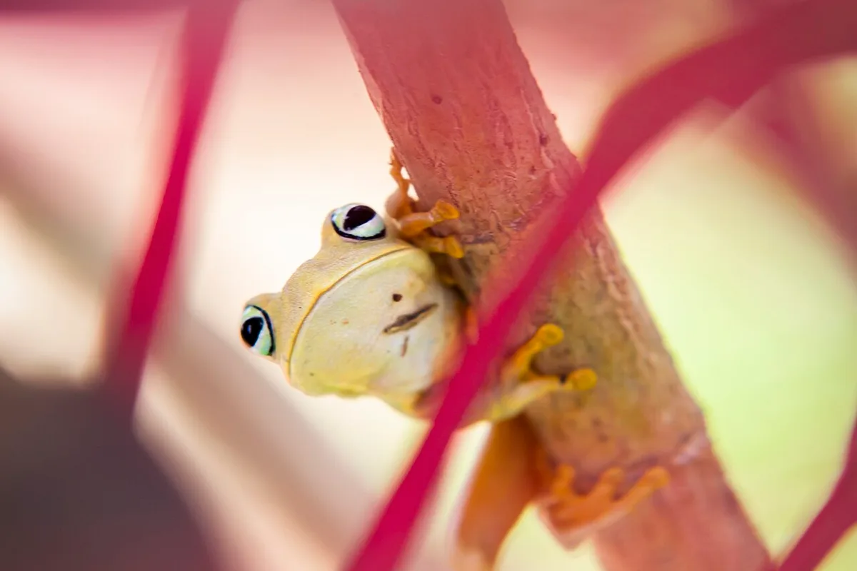 Villavicencio, Colombia
