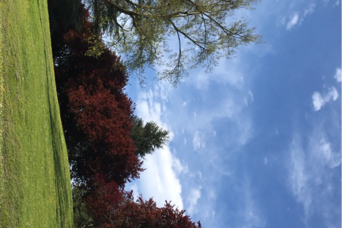 Purificación, Tolima